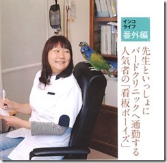 インコ（著者写真）