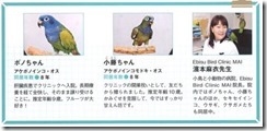 ）インコ（クリッピング